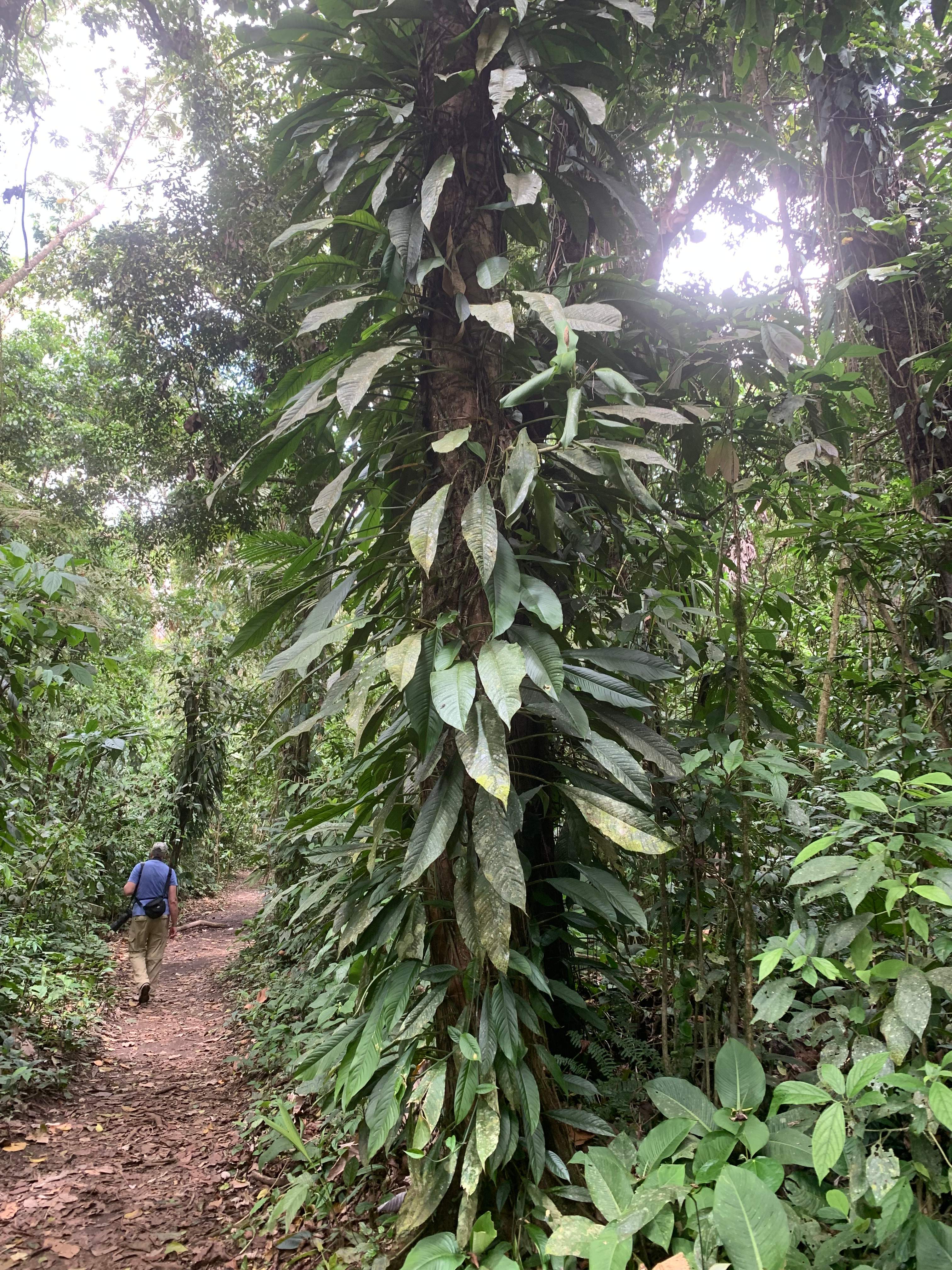 Costa Rica